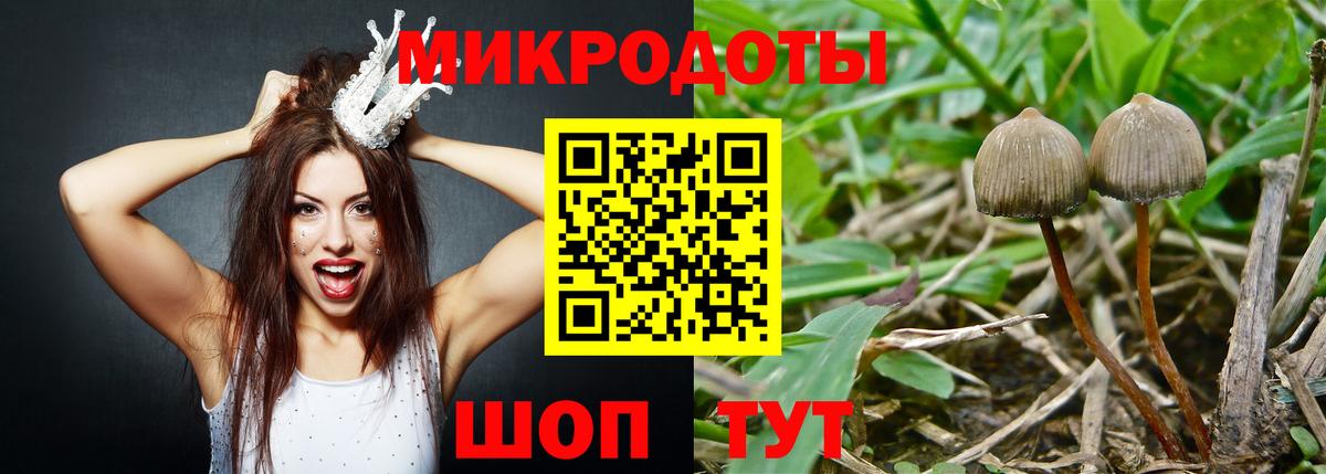 Галлюциногенные грибы MAGIC MUSHROOMS Нерюнгри